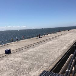 ショアジギング＋ジグサビキ