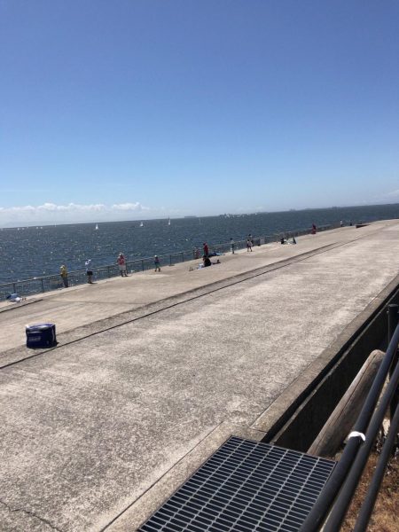 ショアジギング＋ジグサビキ