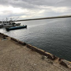 ママカリ再チャレンジ！！