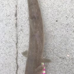 ショアジギング