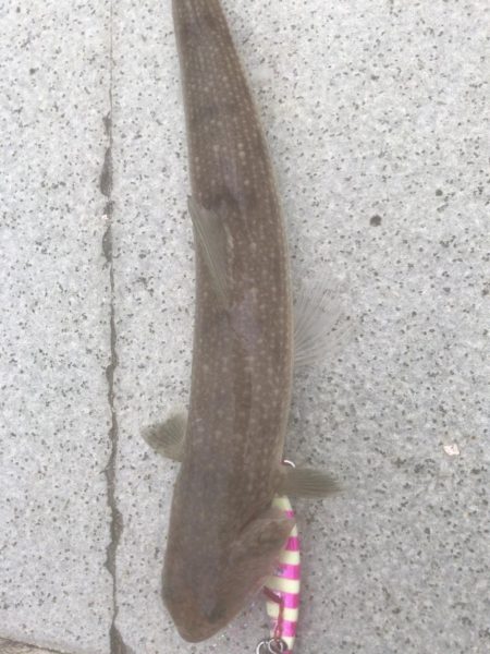 ショアジギング