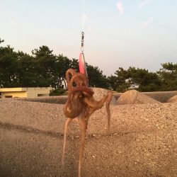 これからが楽しみだ！