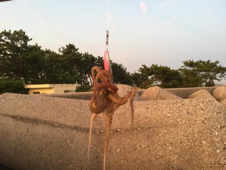 これからが楽しみだ！