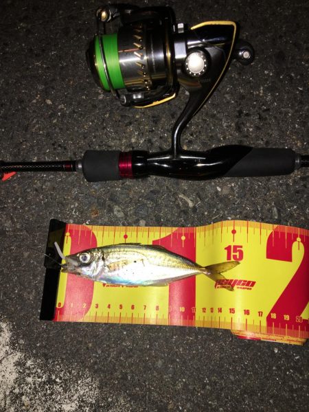 出張先でアジング