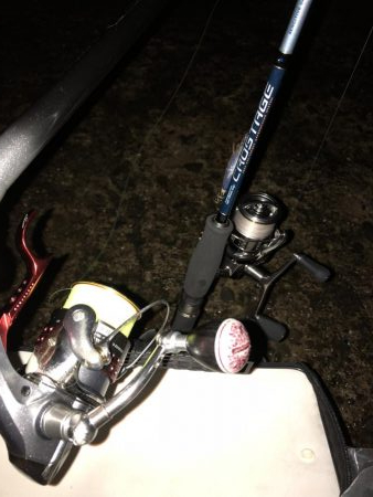 夏の風物詩！ケンサキイカ！！