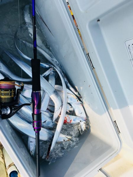 志布志沖堤防太刀魚リベンジ