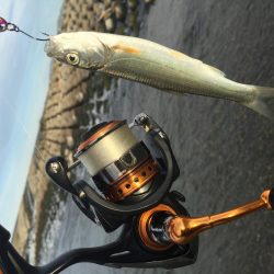 吉野川は、最高だー！