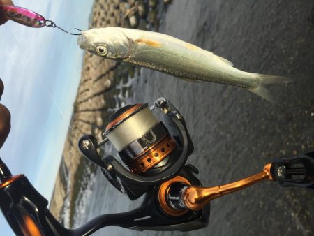 吉野川は、最高だー！