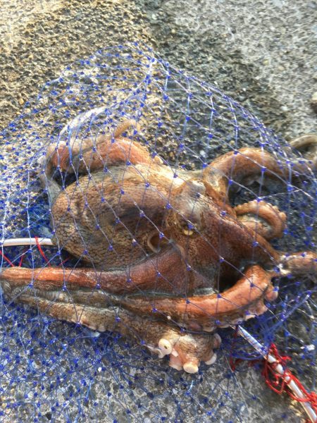 ワインドオクトパッシング