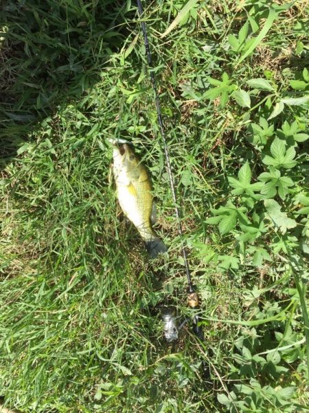 久しぶりのバス釣り