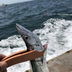 仁王丸さんでタチウオ調査