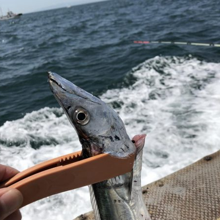 仁王丸さんでタチウオ調査