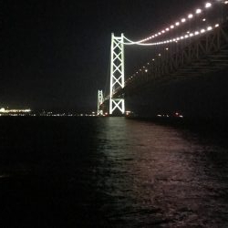 鯖さんこんばんはー