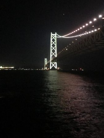 鯖さんこんばんはー