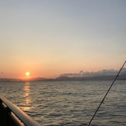 アジサイズのセイゴだらけ