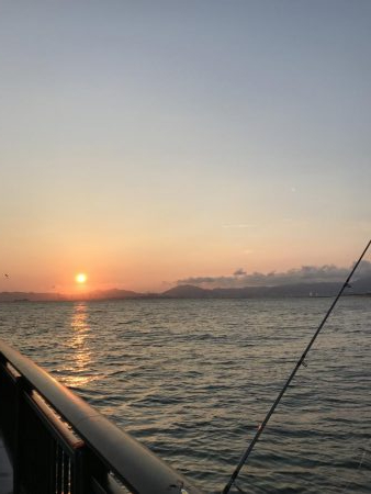 アジサイズのセイゴだらけ