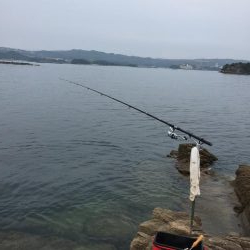 磯でカゴ釣り