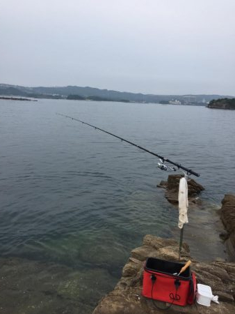 磯でカゴ釣り