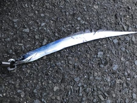 雨の前のタチウオ釣り