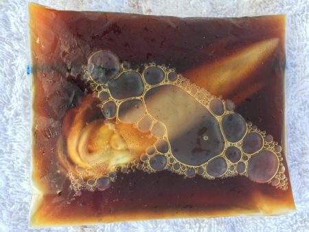 ケンサキちゃんどこに行ったの？