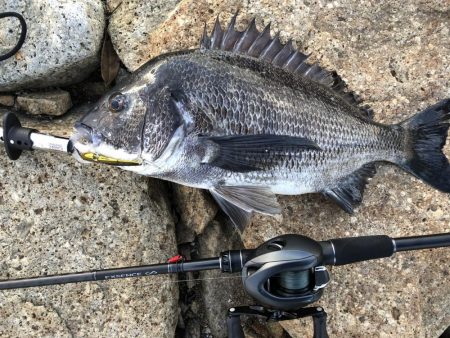 いつものホームに