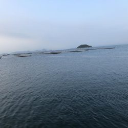 1年ぶりリベンジ釣行!