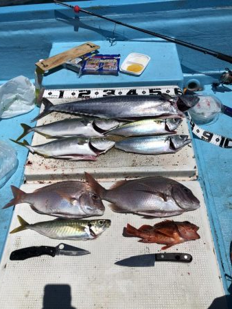 オフショアなのにショアジギロッド入魂