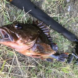 デーゲームモンスター