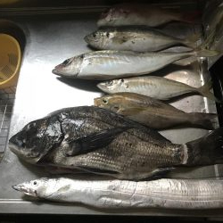 恒例の盆休み 船釣り修行