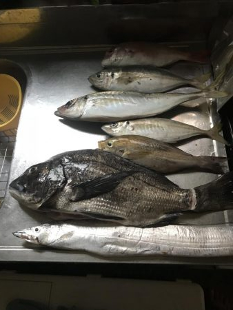 恒例の盆休み 船釣り修行