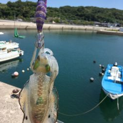 まだまだロリサイズ