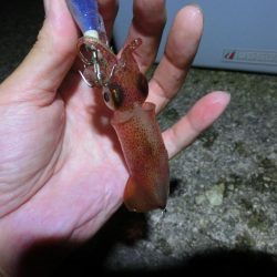 終始渋かったが何とか7杯