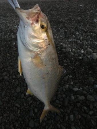 いつものサーフ