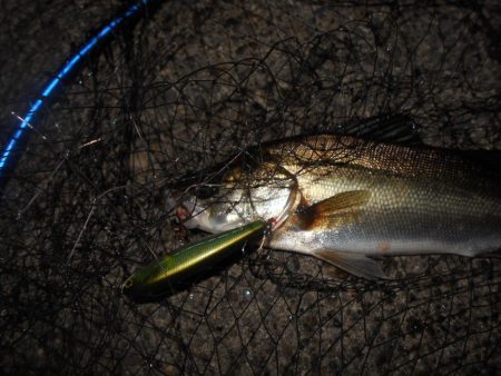 ペンシルベイトのロングステイでヒット。