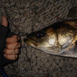 ピックアップ寸前にバスンッ♪。