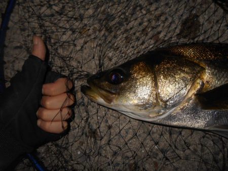 ピックアップ寸前にバスンッ♪。