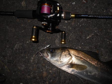 ベイトタックルで楽しんでみる。