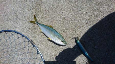 大分国東半島にて