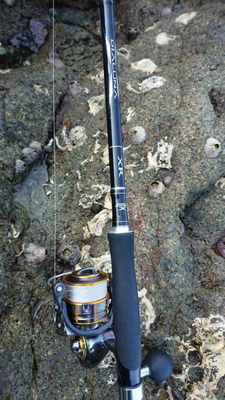 チニング&ロックフィッシュ