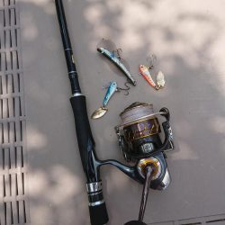 チニング&ロックフィッシュ