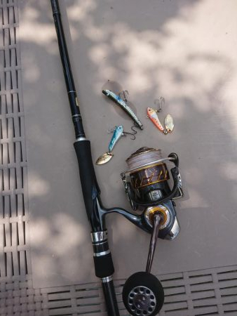 チニング&ロックフィッシュ