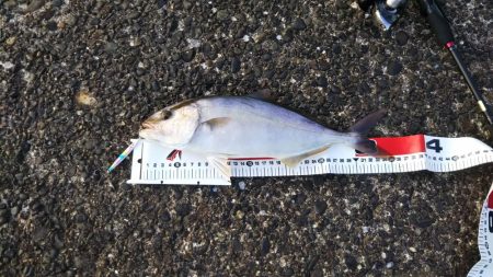 八丈島スーパーショアジギング