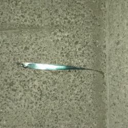 今シーズン初太刀魚❕