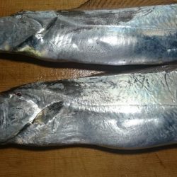 太刀魚釣り