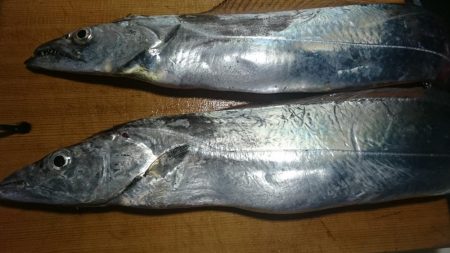 太刀魚釣り