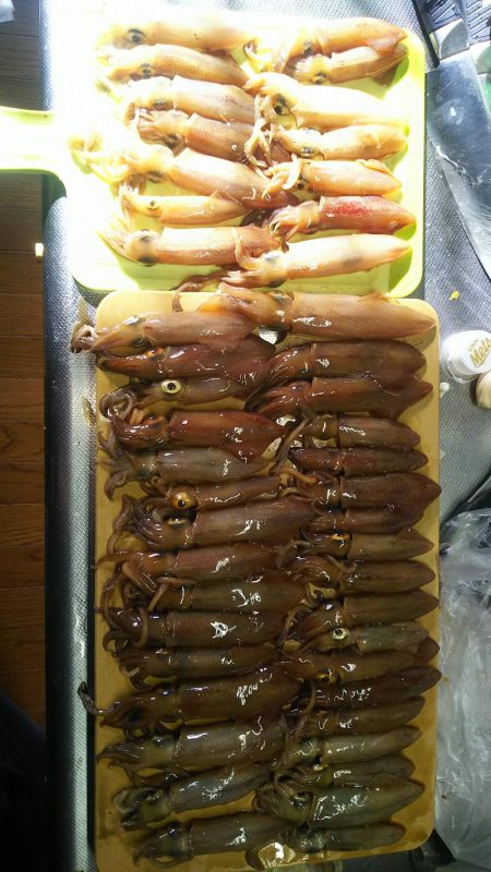 ライトエギング