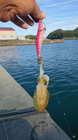 早く大きくなぁれ