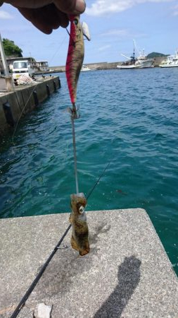 はやく大きくなぁれ