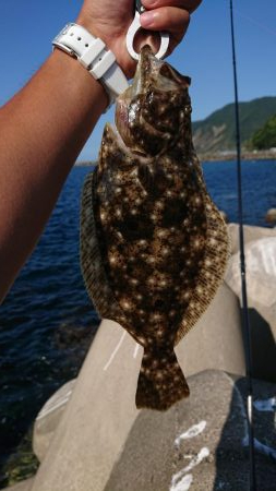 昼過ぎからのライトショアジギ