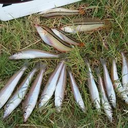 都志・明神でキス狙い